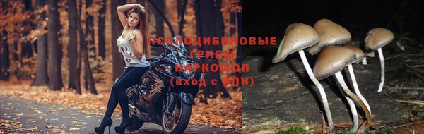 гидра Нефтекумск