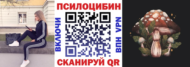 Купить закладки Красный Холм Галлюциногенные грибы Psilocybe
